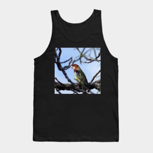 Rosella Parrot Tank Top